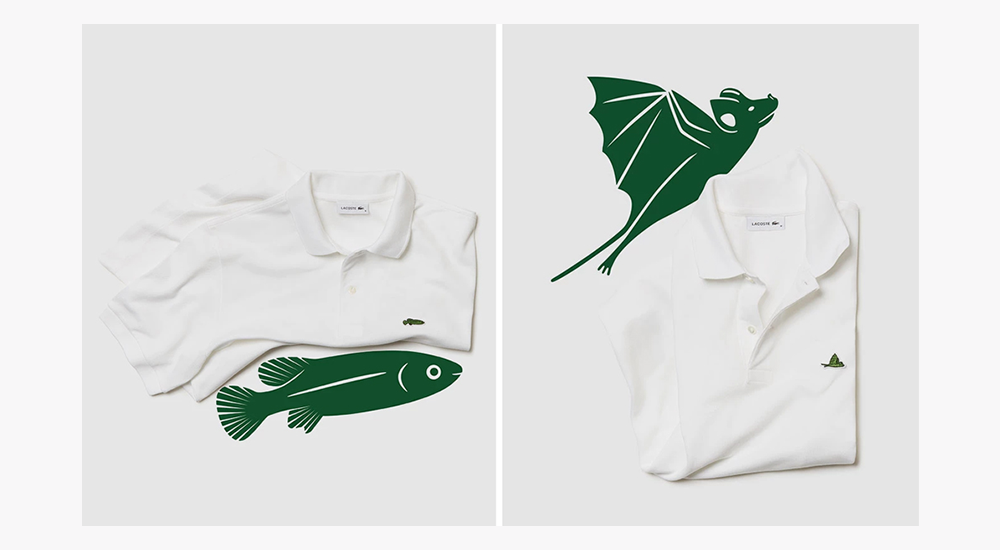 lacoste rare animals